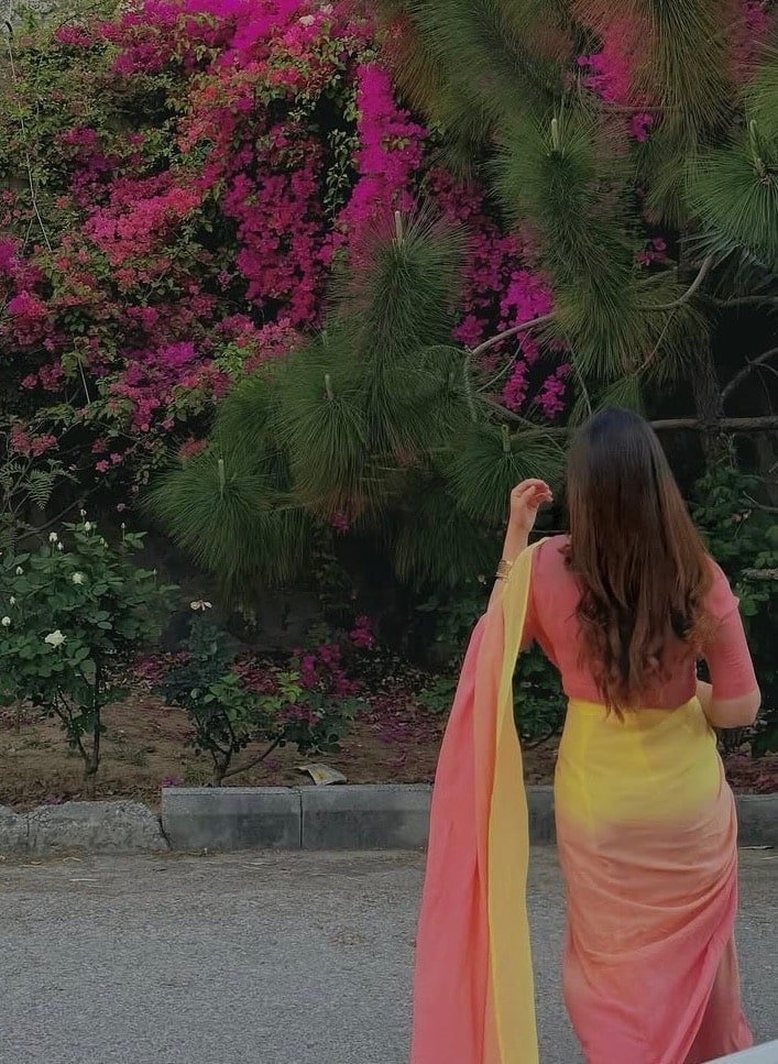 5 Best Sarees for Your Farewell Look