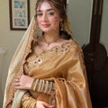 Dabka Tissue Silk: Ayraaz