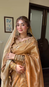 Dabka Tissue Silk: Ayraaz