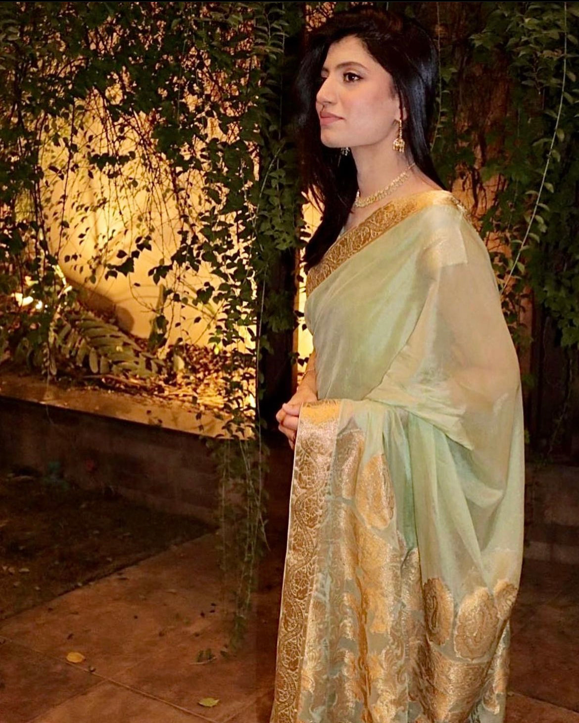 Chiffon Silk Banarsi - Mint