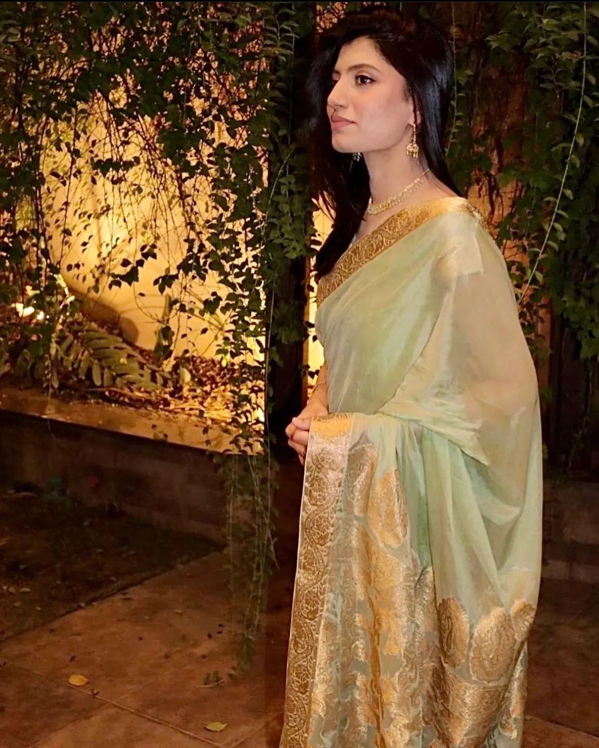 Chiffon Silk Banarsi - Mint