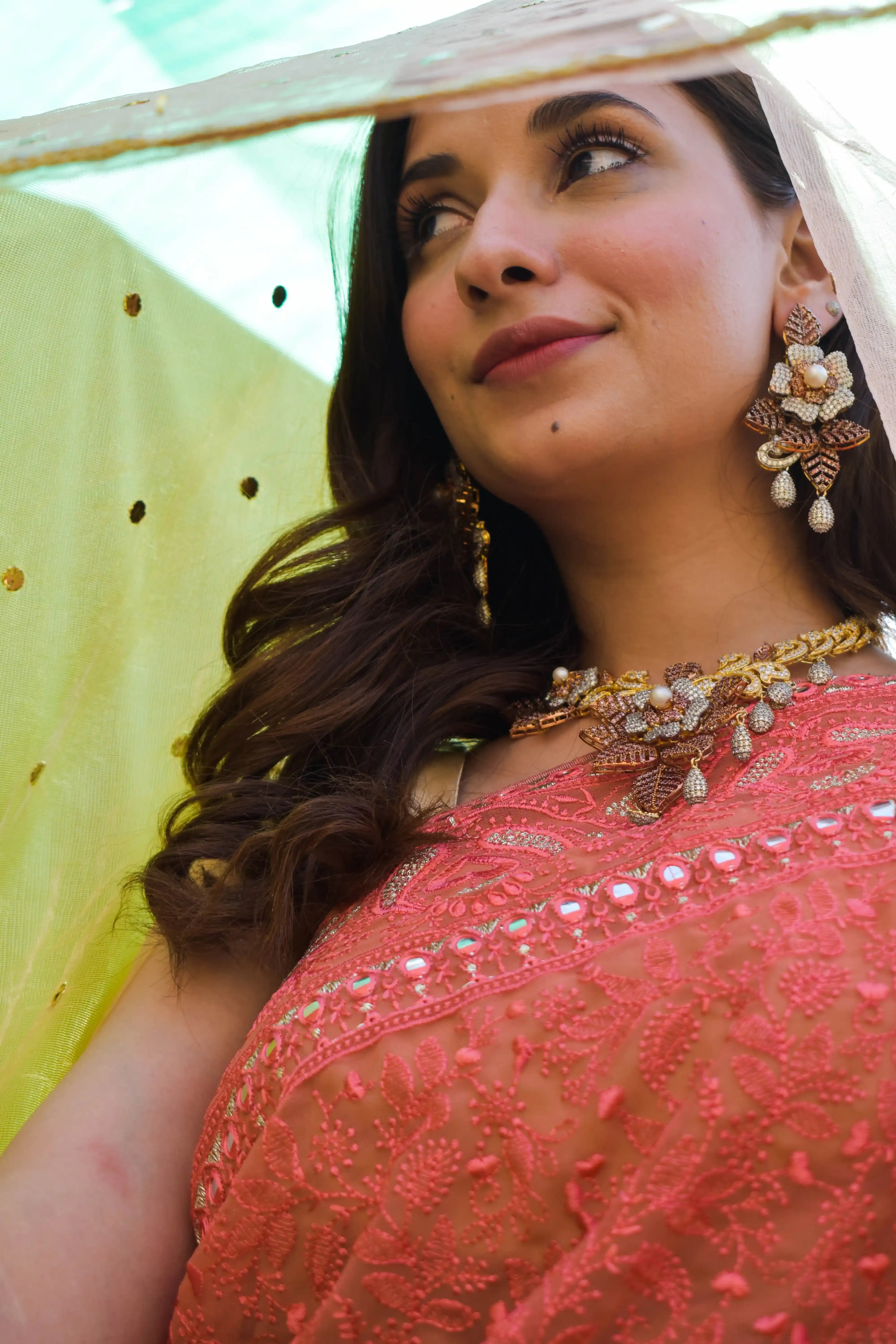 Chikankari Chiffon Saree - Pehla Pyaar: Raunaq