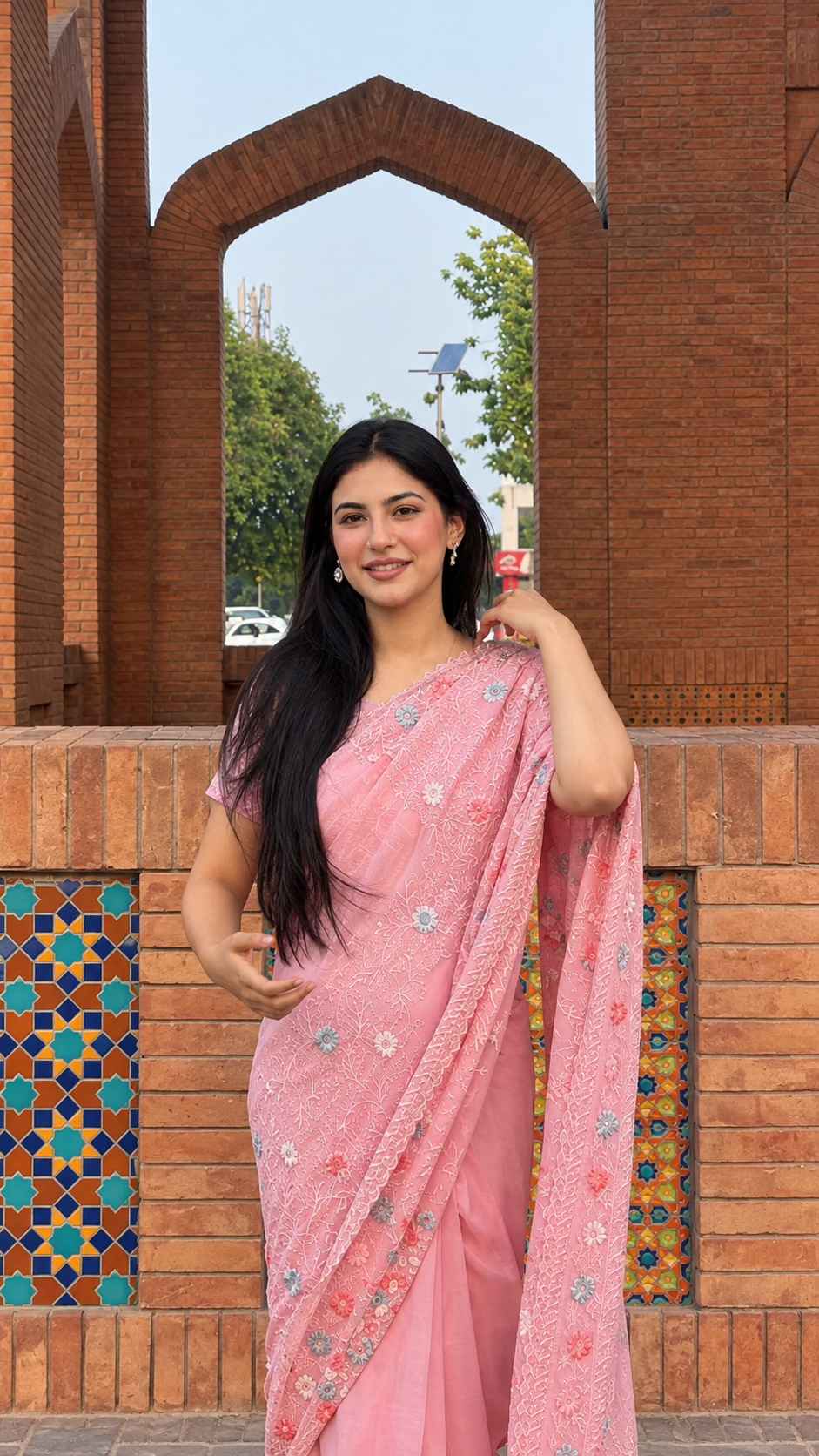 Embroidered Chiffon: Dreamspell