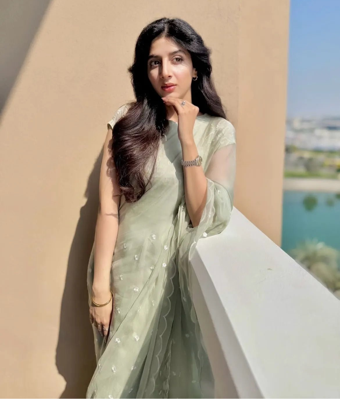 Embroidered Chiffon: Neha