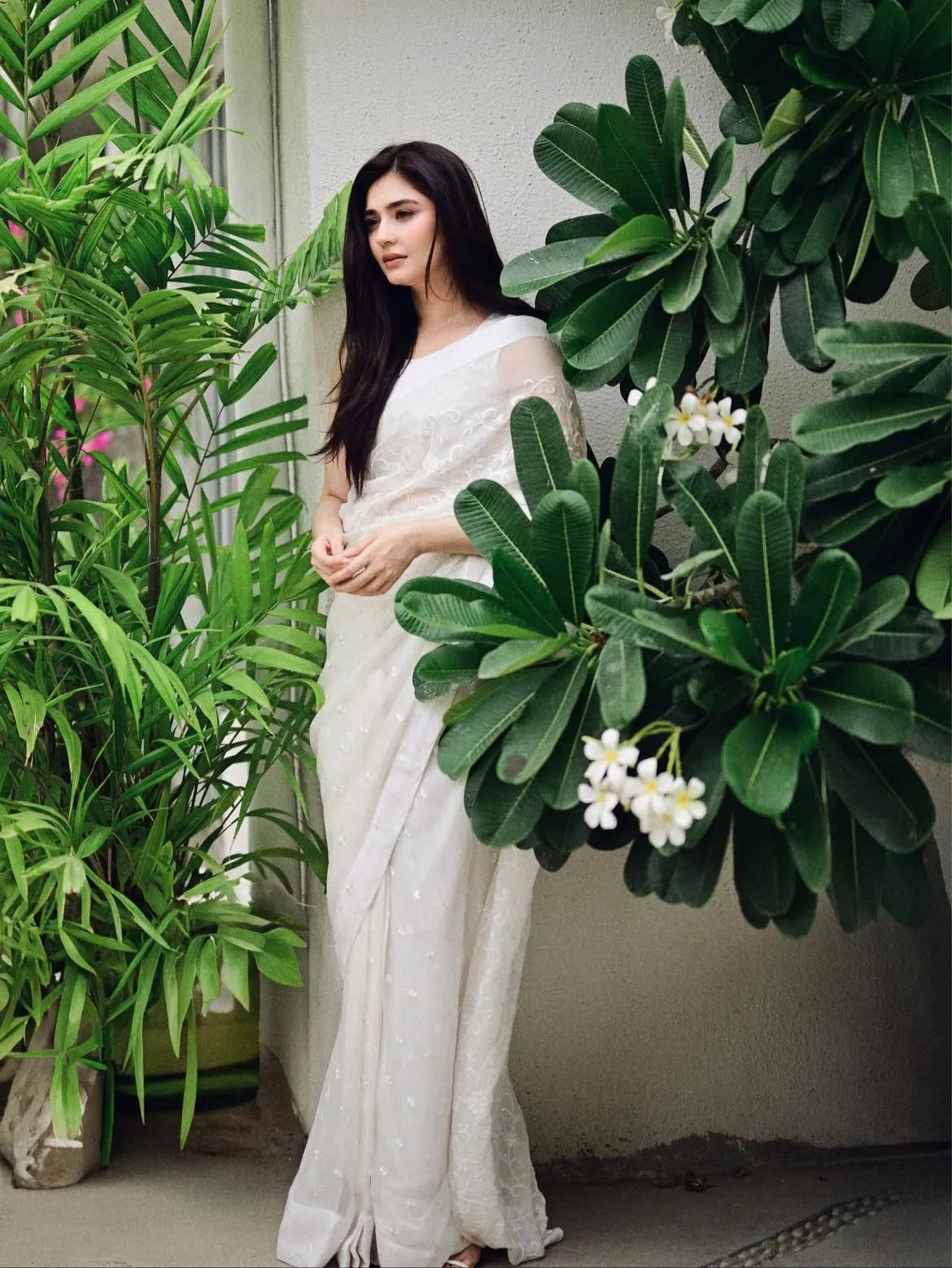 Embroidered Chiffon: Aafreen