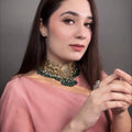 Chiffon Silk Banarsi - Soft Petals