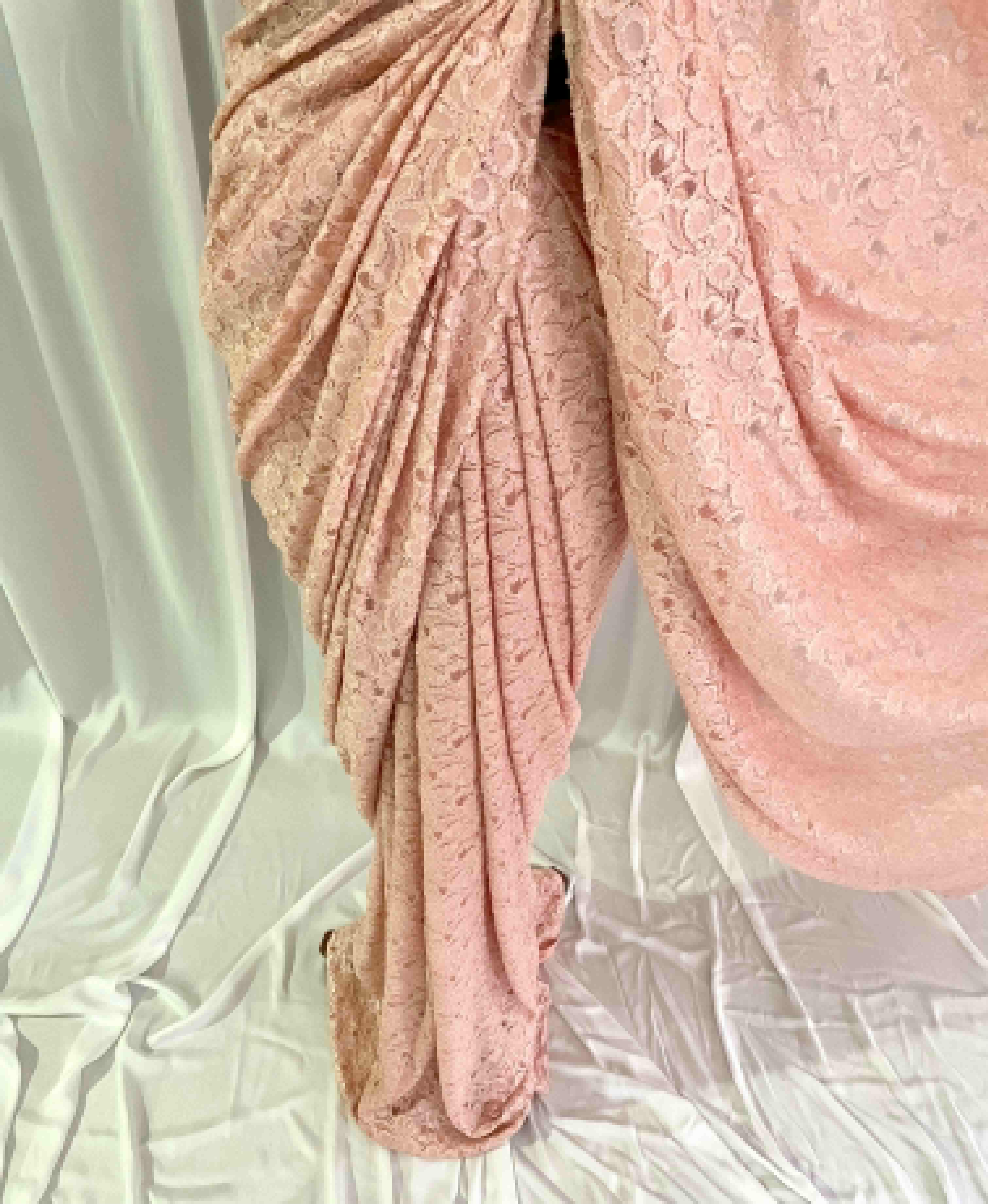 French Chantilly: Dentelle