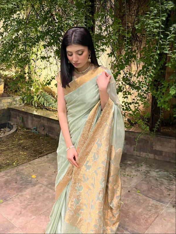 Chiffon Silk Banarsi - Mint