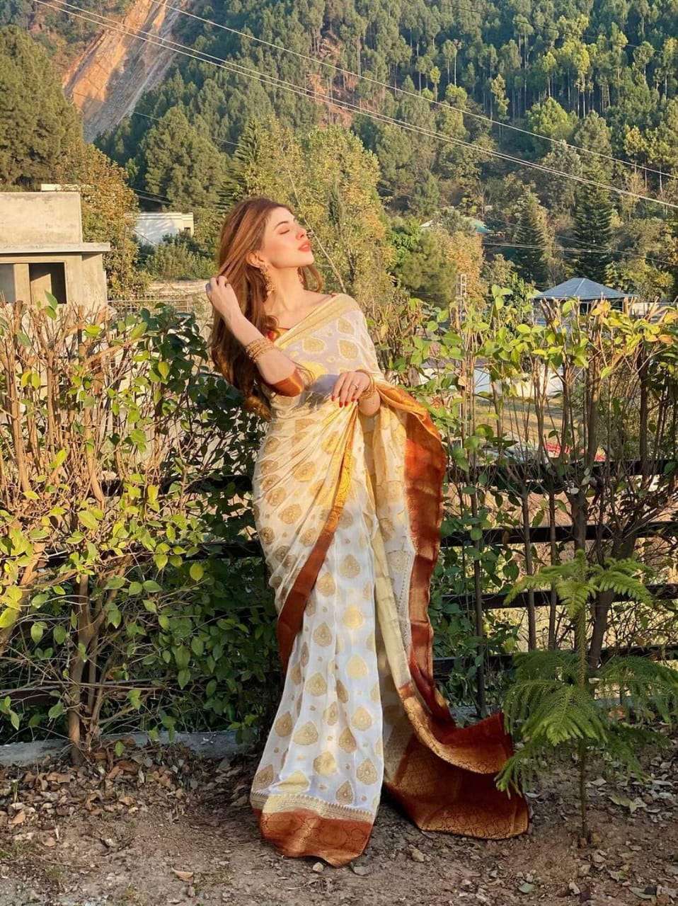 Devdas Banarsi Silk