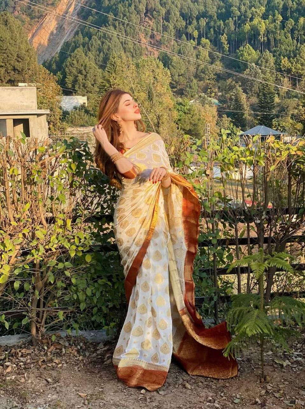 Devdas Banarsi Silk