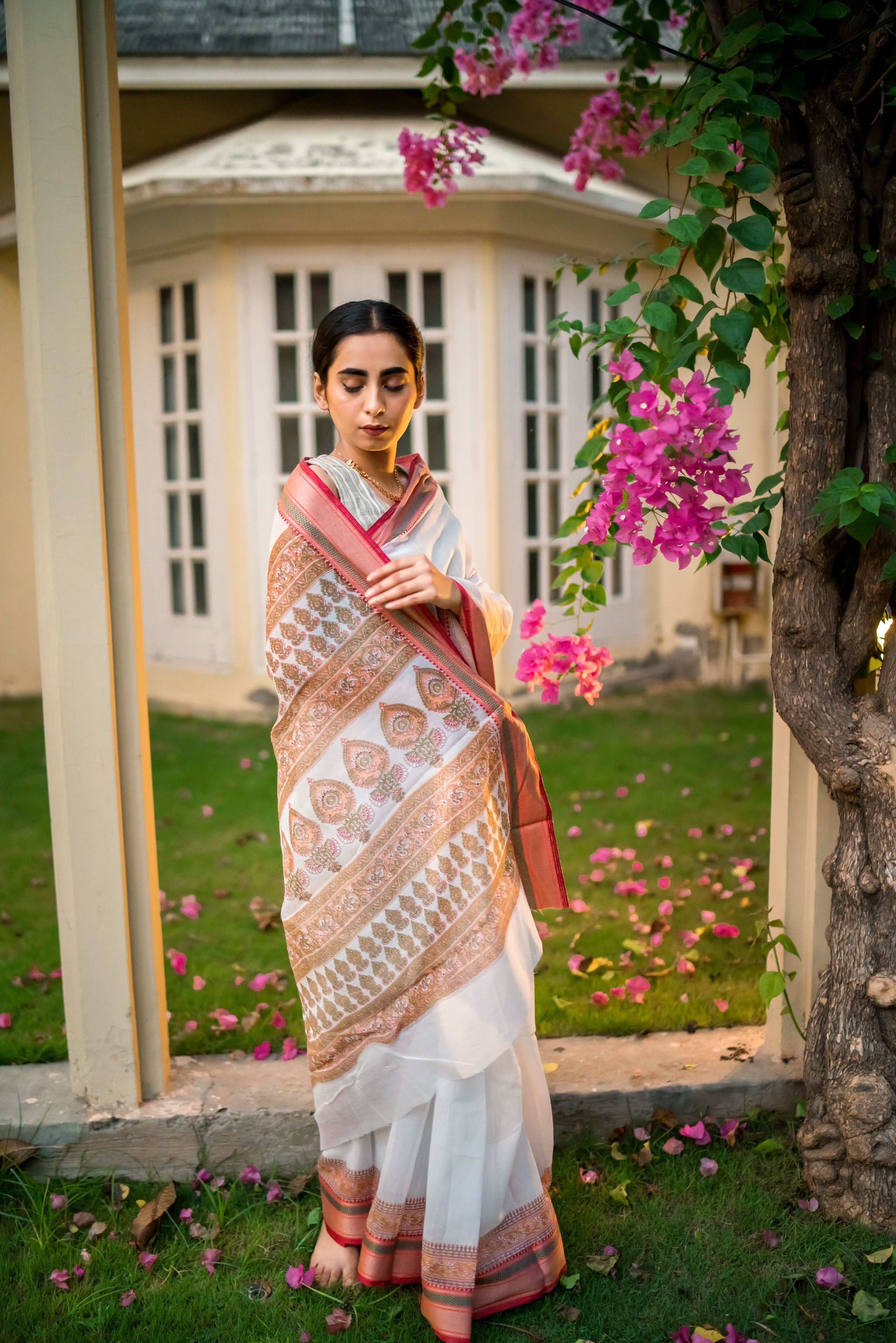 Handloom Cotton: Khuwaab
